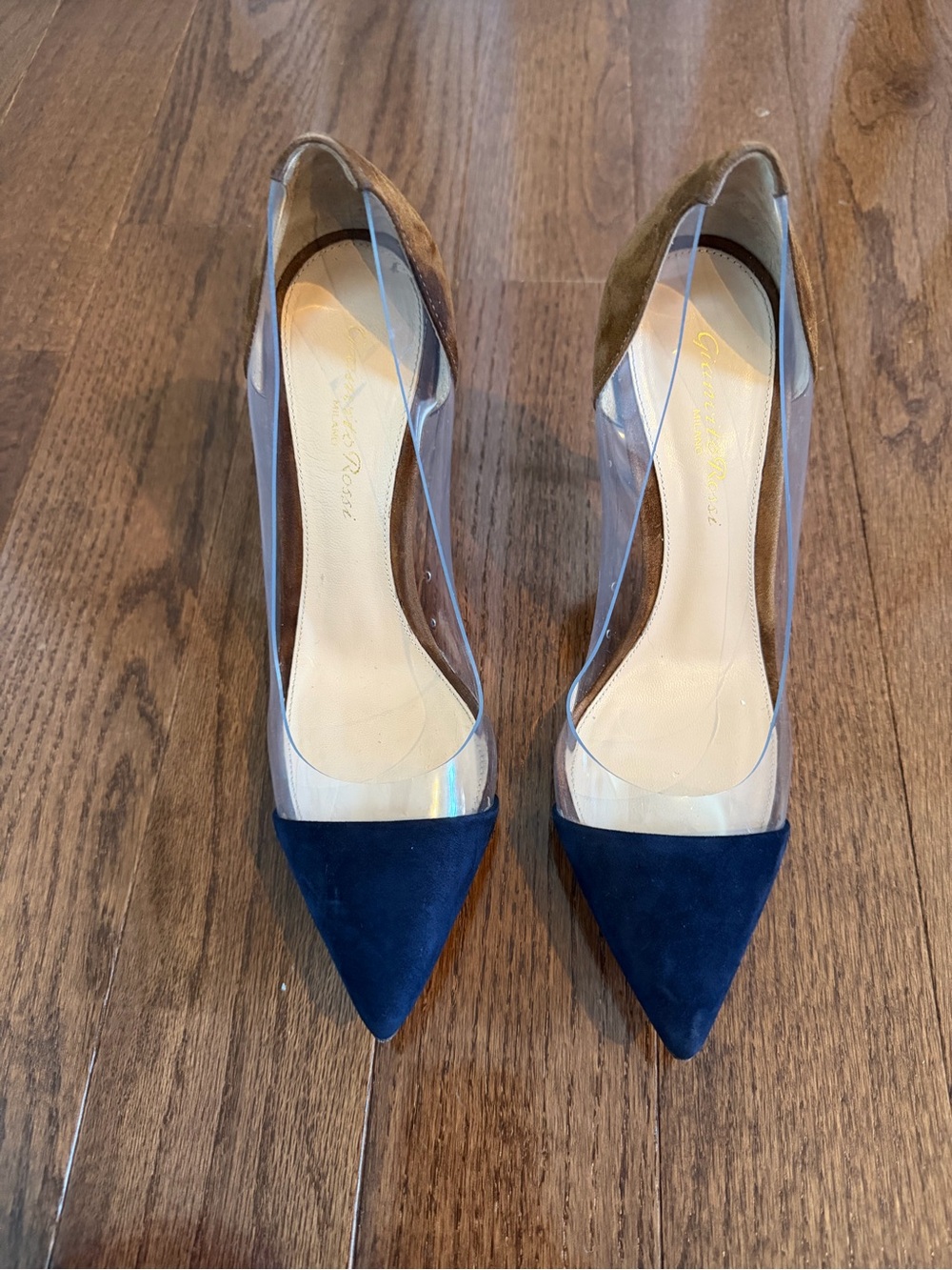 Gianvito Rossi Clear Pumps with Navy Suede Pointed Toe